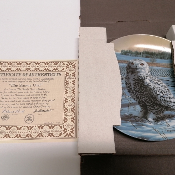 The Snowy Owl Collection Plate - Picture 4 of 6